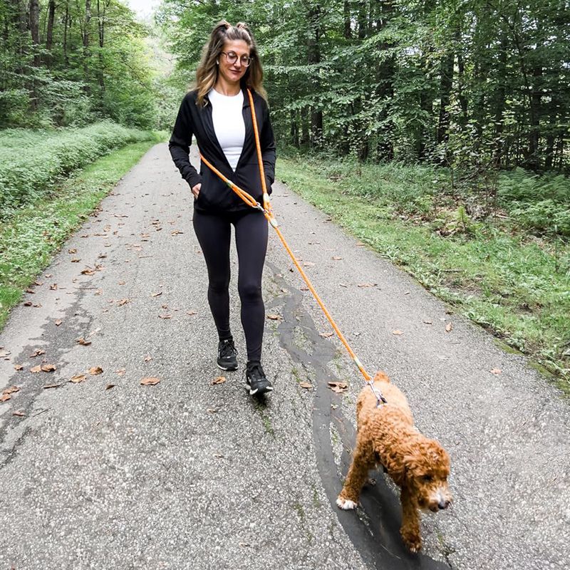 Running Gear Belt - Guinzaglio per cani riflettente a mani
