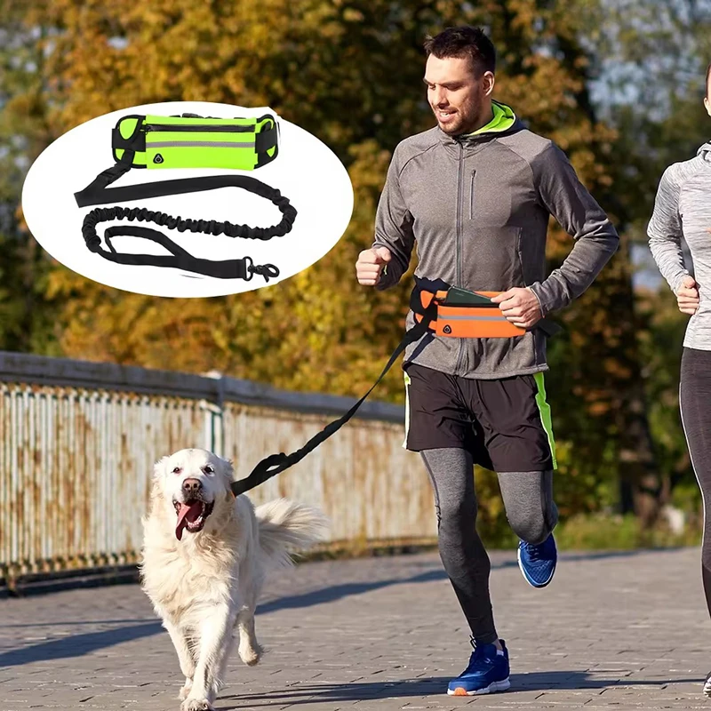 Guinzaglio per cani a mani lib - Running Gear Belt recensione e prezzo